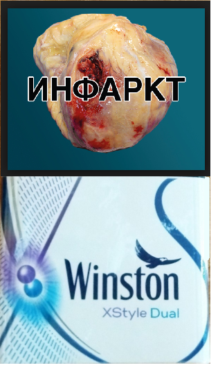 Cигареты с фильтром WINSTON XSTYLE DUAL