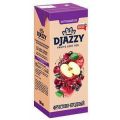 Сок DJAZZY фруктово-ягодный 0.2 л