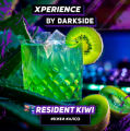 Табак для кальяна DARKSIDE Xperience Resident Kiwi (киви) 30 г