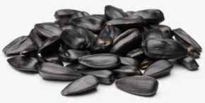 Семечки ДЖИНН Солнечный великан жареные соленые чищенные 15 г